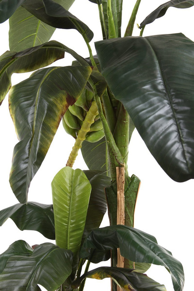 Sztuczny Banan 150 cm