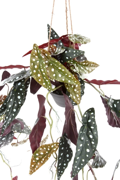 Sztuczna Begonia Maculata wisząca 80 cm w doniczce