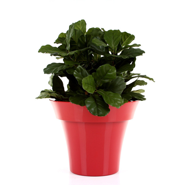 MISIA 60/48 donica okrągła czerwona lakierowana