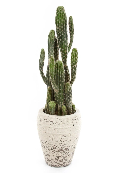 Sztuczny Kaktus Column 76 cm