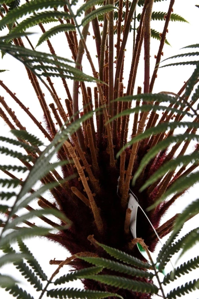 Sztuczna paproć Dicksonia 125 cm