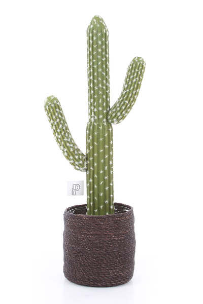 Sztuczny kaktus Saguaro Karnegia olbrzymia M 62 cm