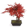 Sztuczny Bonsai Klon japoński 50 cm burgundy w doniczce