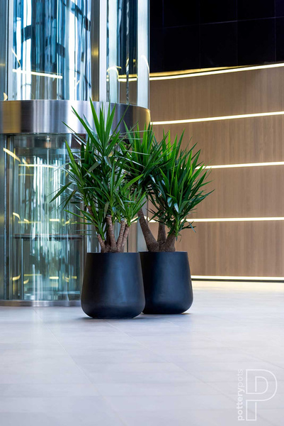 Pax XL 66/67 duża donica kamienna czarna