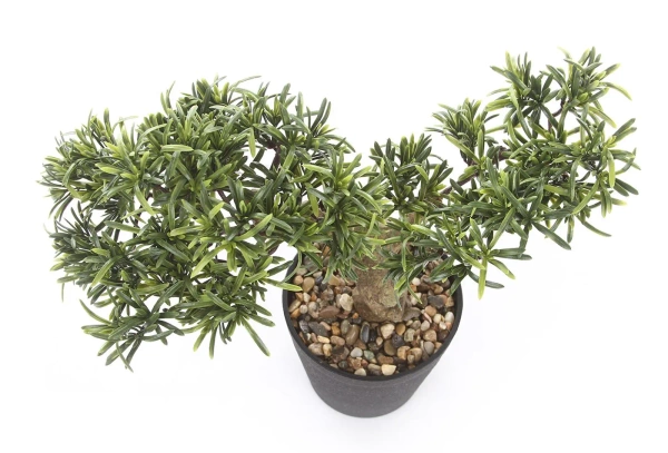 Sztuczny Bonsai Podocarpus 40x40 cm