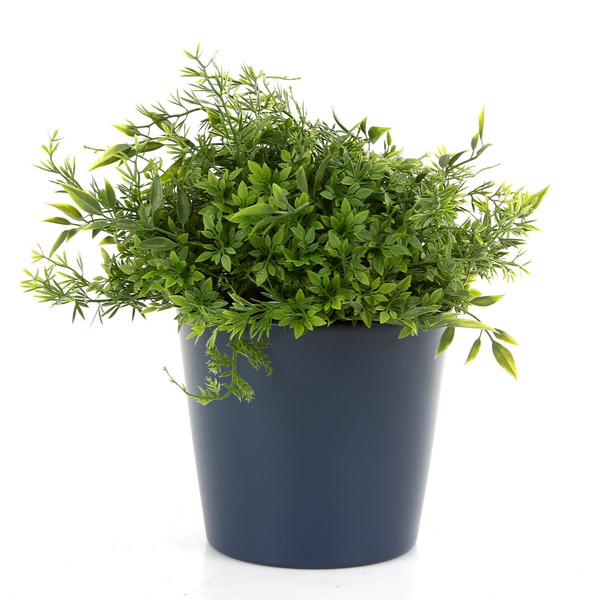 Zestaw do hydroponiki Leni 5/5 Vasa mini osłonka ceramiczna ciemnoniebieska