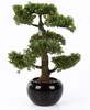 Sztuczne drzewko Bonsai Fikus mini 47 cm w czarnej ceramicznej doniczce