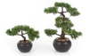 Sztuczne drzewko Bonsai Cedr 26 cm czarnej doniczce