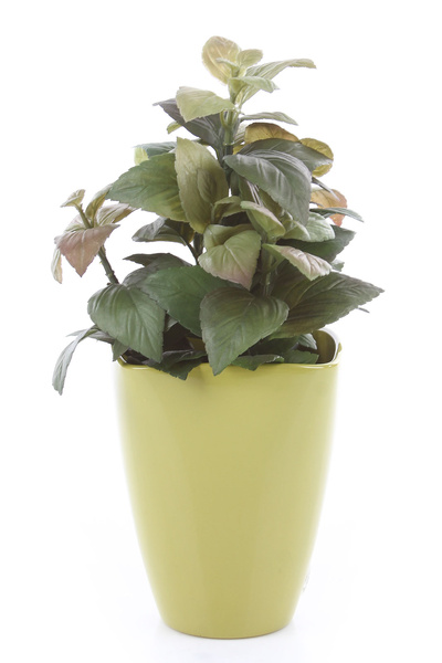 QUARTA ORCHID 13/17 ceramiczna doniczka do storczyków zielona