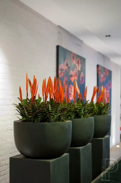 Sunny M 33/20,5 czarna misa kamienna