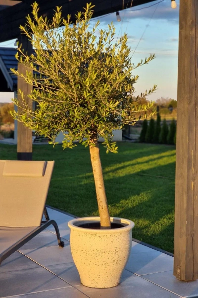 Poseidon S 42/38 donica w śródziemnomorskim stylu kremowa