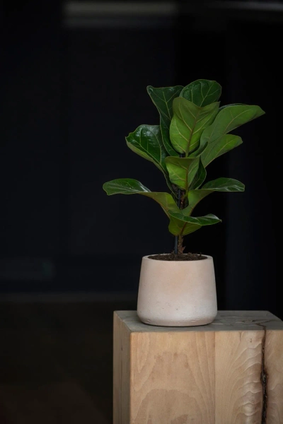 Patt XL 23/19,5 doniczka kamienna gliniana clay washed