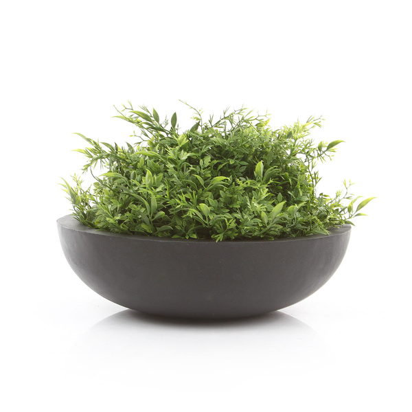 Monique L 43,5/12 misa szara osłonka na bonsai