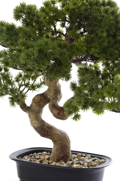 Sztuczny Bonsai Pinia Sosna 44 cm w czarnej doniczce