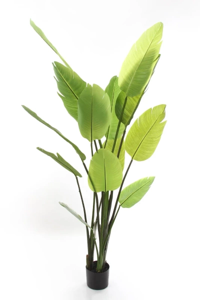 Sztuczna Strelicja nicolai wysoka 180 cm 13 liści