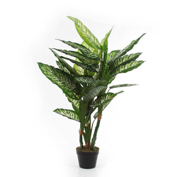 Sztuczna Difenbachia 120 cm duże kolorowe liście