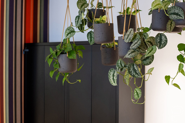 Charlie XXS 10,6/9,9 doniczka wisząca cylindryczna czarna