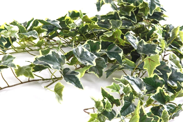 Sztuczny bluszcz zielono-biały busz 120 cm