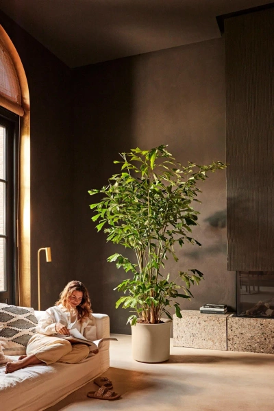 June Tulip 47/43 beżowa donica do ogrodu balanced beige