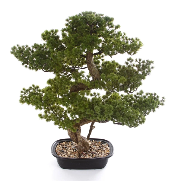 Sztuczny Bonsai Pinia Sosna 68 cm w czarnej doniczce