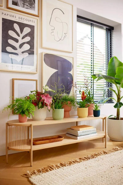 Zestaw do hydroponiki 9/7 osłonka Vibes 9 kolor mięty