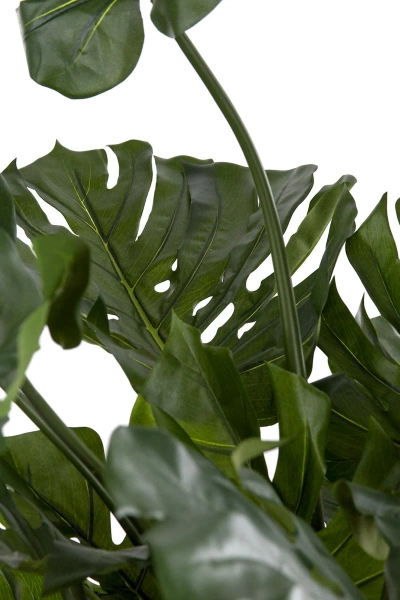 Sztuczna Monstera 140 cm na drewnianych pniach deluxe