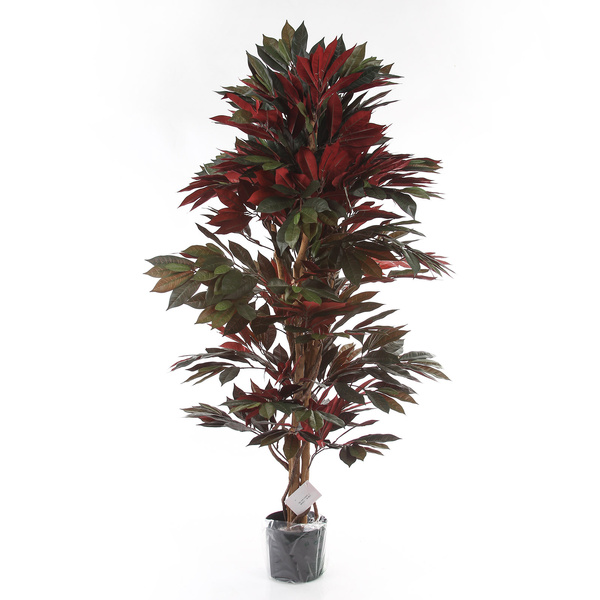 Sztuczny Fikus Capensia czerwonolistny 150 cm