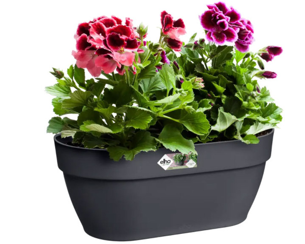 Vibia Wall Basket 35x16/15 doniczka naścienna antracytowa