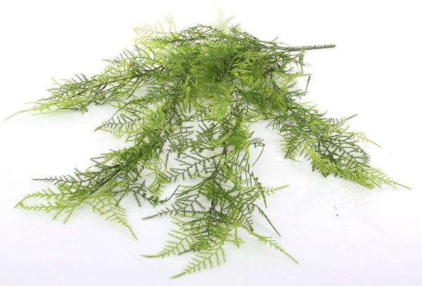 Sztuczny Asparagus pierzasty pnącze 80 cm