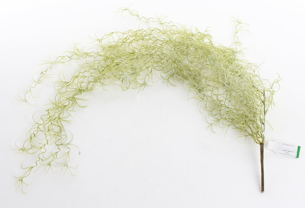 Sztuczna Oplątwa Tillandsia pnącze wiszaca 85 cm szara