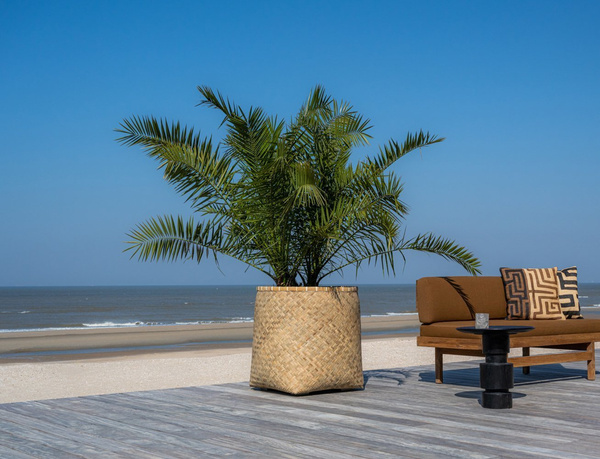 Zayn XS 44/42,5 naturalne doniczki z bambusa