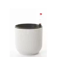 biały / silky white