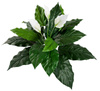 Sztuczny Skrzydłokwiat Spathiphyllum 71 cm z białymi kwiatami