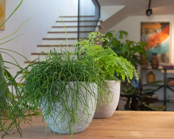 Hestia 28/26 osłonka z ceramiki antracytowa