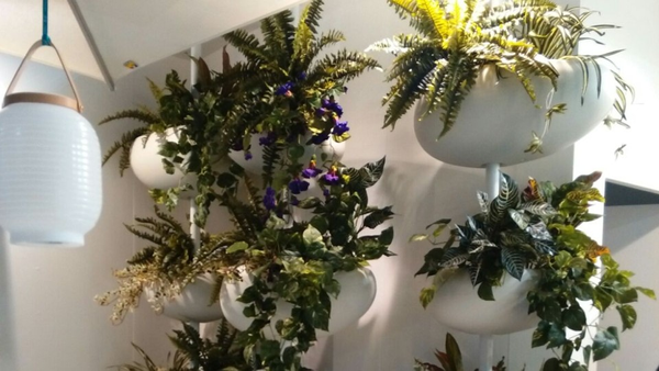 GREENPILLS kwietnik biały