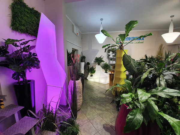 Lampa FAZ LAMP 220 cm LED RGB