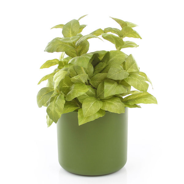 ONO 11/10 osłonka cylindryczna oliwkowa zielona