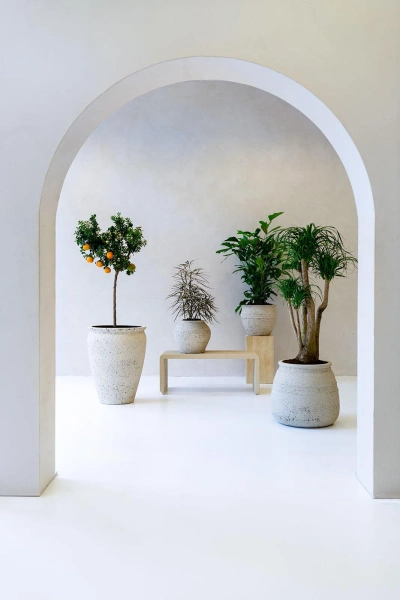 Apollo L 55/68 wysoka donica śródziemnomorska kremowa