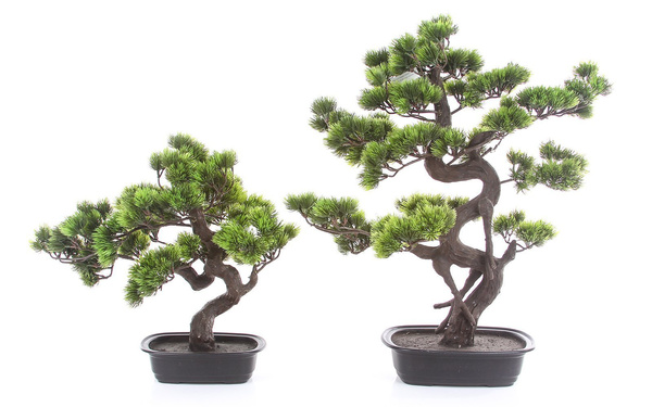 Sztuczne drzewko Bonsai Sosna Pinia 65 cm