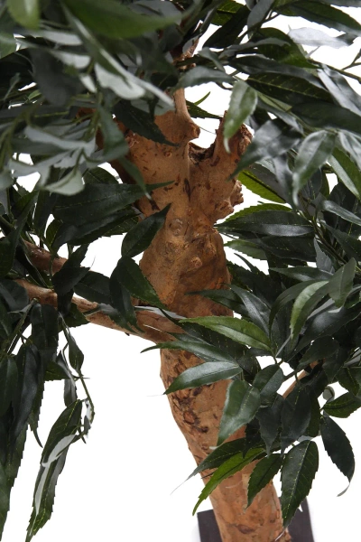 Sztuczny Bonsai Shirakashi 80 cm
