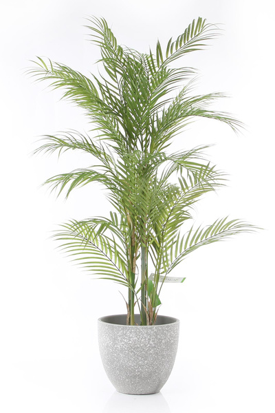 Sztuczna palma Chamedora 120 cm