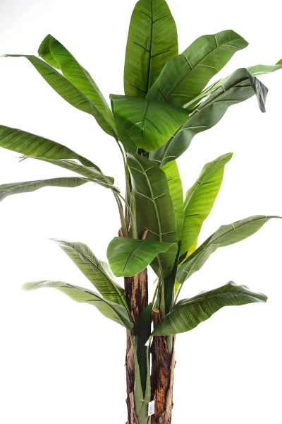 Sztuczny Bananowiec 180-200 cm