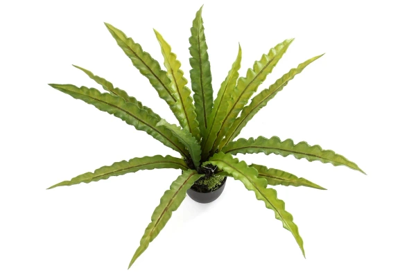 Sztuczne asplenium paproć 46 cm w doniczce