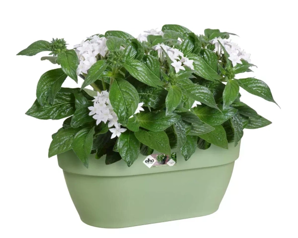 Vibia Wall Basket 35x16/15 doniczka naścienna pistacjowa pistachio green