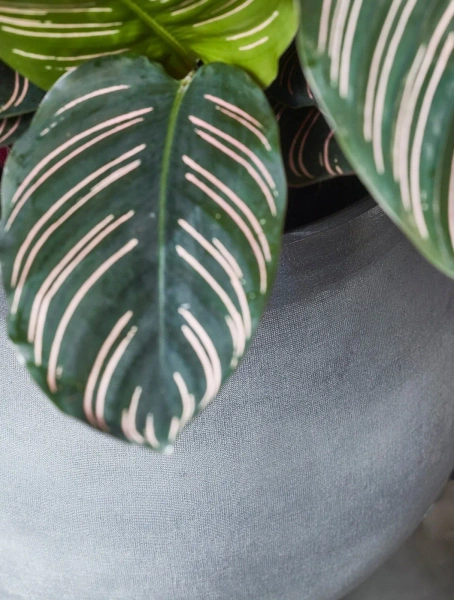 Douro 16/13 mała osłonka ceramiczna jasnoszara