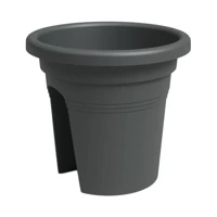 antracyt