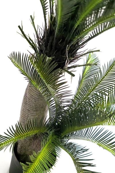 Sztuczny Cycas 145 cm 42 liście UV