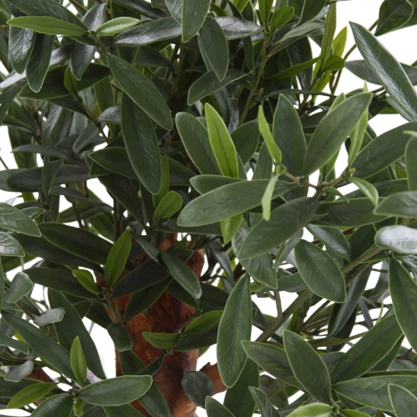 Sztuczna Oliwka 90 cm deluxe UV