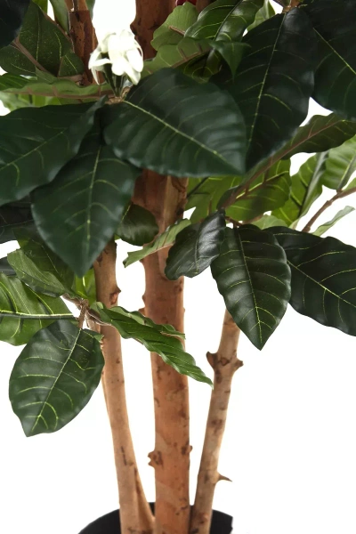 Sztuczne drzewko Kawy 150 cm 471 liści z owocami