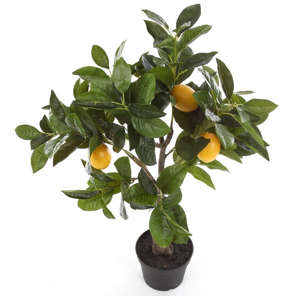 Sztuczne drzewko cytrynowe 70 cm